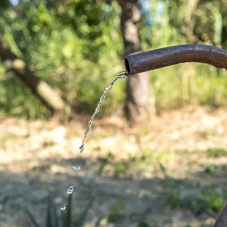 La Sorgente Farmház
