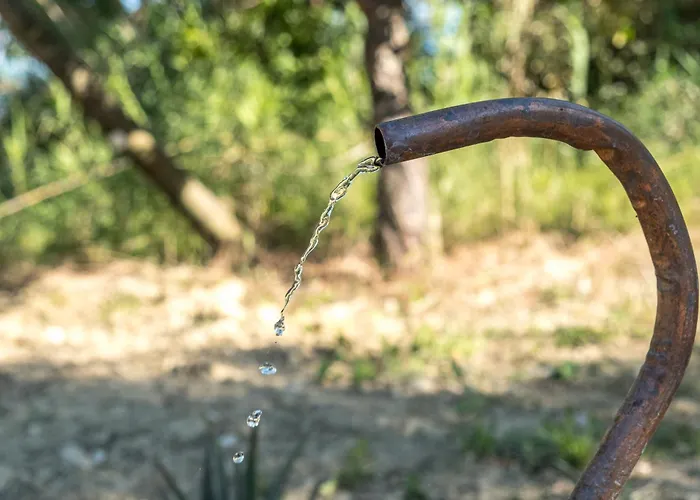 La Sorgente Κατάλυμα σε φάρμα